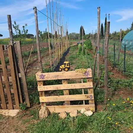 Agriturismo Bio Pian Dei Casali-2